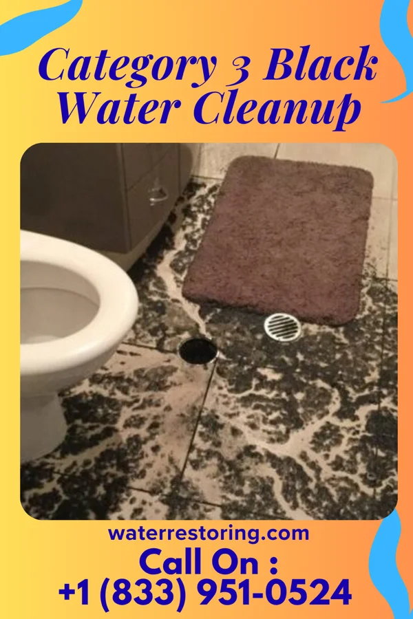 Category 3 Black Water Cleanup in Ashville, OH