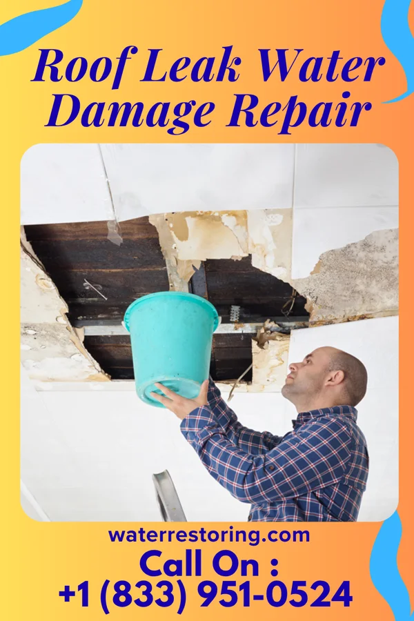 Roof Leak Water Damage Repair in Ashville, OH