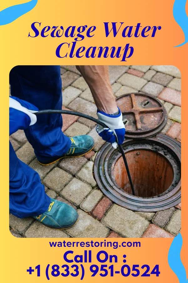 Sewage Water Cleanup in Ashville, OH
